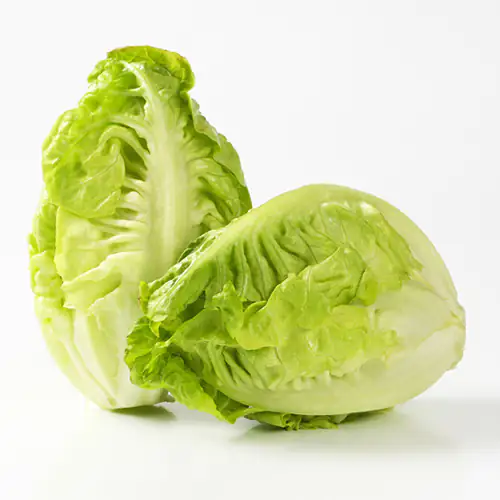 Lettuce Gem 500g Spain